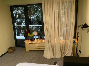 Rooms Kokhta-Mitarbi apartments Bakuriani